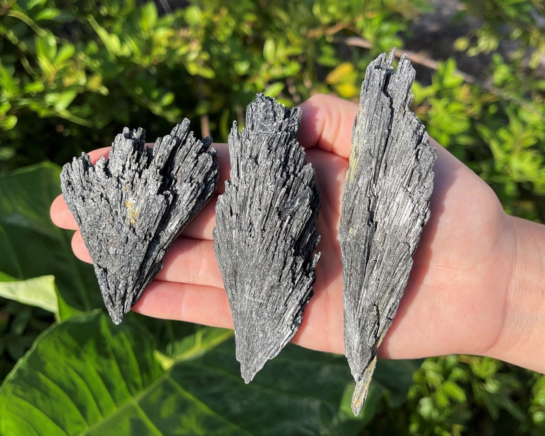 Natural Black Kyanite Blades, Premium Quality: 10-15 Piece Box Lot Premium Grade image 6