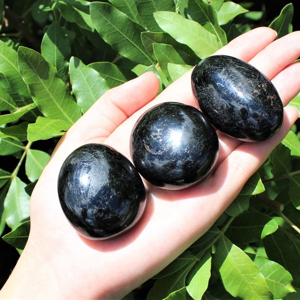 Black Tourmaline Hand Polished Stones: Choose How Many & Size ('AAA' Grade Polished Tourmaline Pebbles, Black Tourmaline Palm Stones)