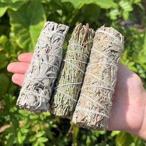 Smudge Sampler - White Sage, Blue Sage, & Cedar - 3 Stick Best Selling Smudges (Set of 3 Smudge Sampler, House Cleansing)