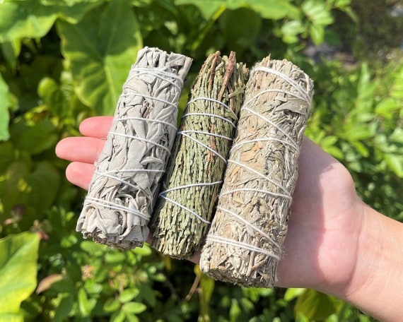 Smudge Sampler - White Sage, Blue Sage, & Cedar - 3 Stick Best Selling Smudges (Set of 3 Smudge Sampler, House Cleansing)