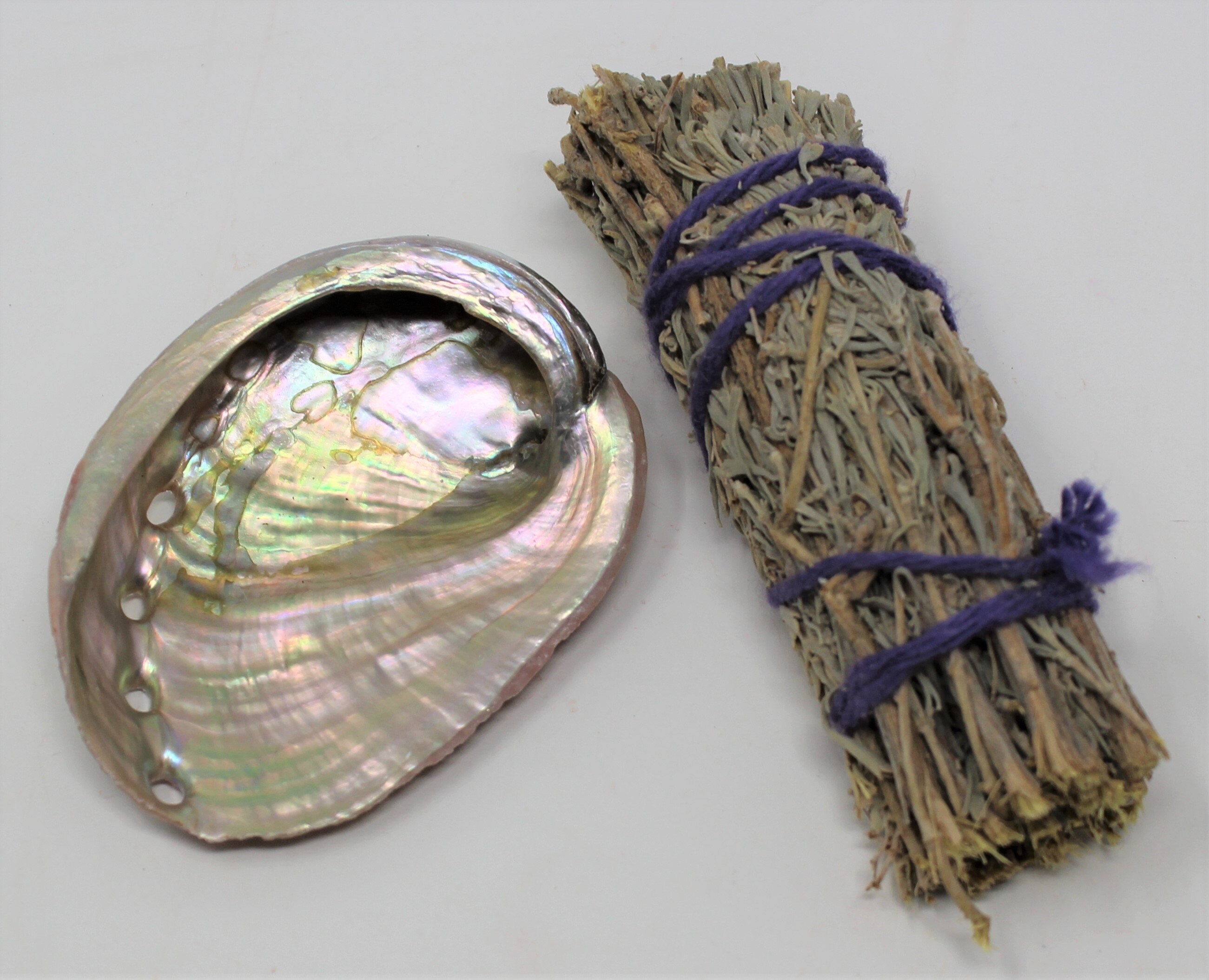 Smudge Kit Small Abalone Shell, Desert Sage Smudge Stick PLUS Smudging Guide! (Starter Kit or