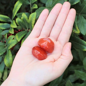 Carnelian Tumbled Stones: Choose How Many Pieces Premium Quality 'A' Grade 2