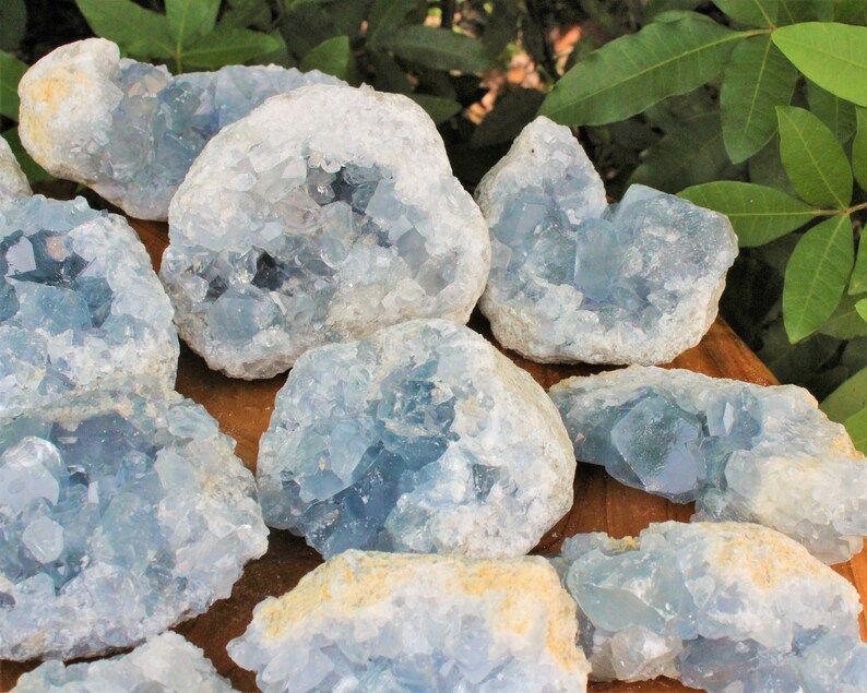 May include: A collection of blue celestite crystal clusters. The crystals are raw and have a natural, rough texture. They are arranged on a wooden surface.