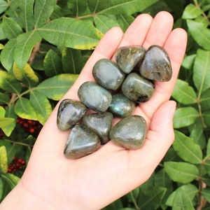 May include: A collection of tumbled labradorite stones in various shades of green and gray. The stones are smooth and polished, with a subtle iridescent sheen.