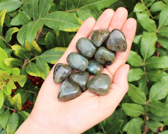 Labradorite Tumbled Stones: Choose How Many Pieces (Premium Quality 'A' Grade)