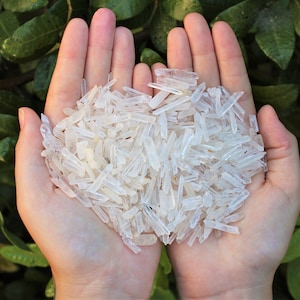 Tiny Matchstick Quartz Points 50 Gram Lot (1.76 oz, Small Natural Crystal Points)