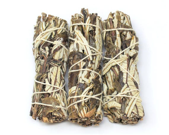 Yerba Santa Smudge 4" Sticks - 3 Pack - Dried Herb Bundles for Cleansing, Craft & Ritual