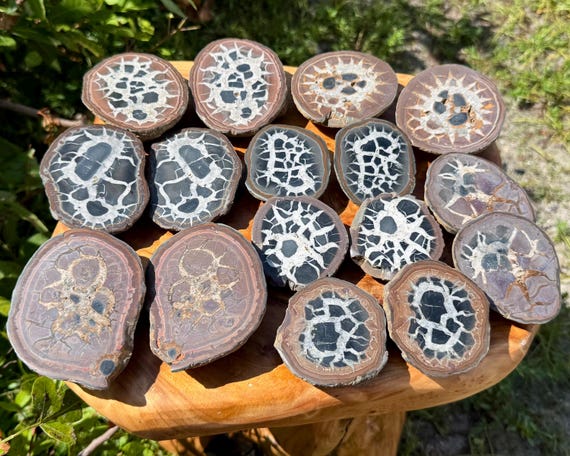 Septarian Nodule Pairs From Morocco, Natural Septarian Slice Pairs - Choose Size (Premium Quality Polished Septarian Stones, Dragon Stone)