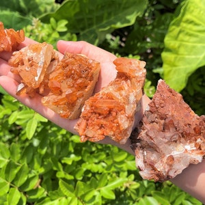 Tangerine Quartz Crystal Clusters: Choose Size ('A' Grade, Beautiful Natural Tangerine Quartz Druze Specimens, 100% Natural Coloration)