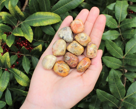 Crazy Lace Agate Tumbled Stones: Choose How Many Pieces (Premium Quality 'A' Grade)