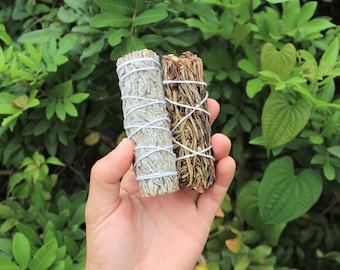 May include: Two smudge sticks, one white and one brown, are held in a hand. The white smudge stick is made of sage and the brown smudge stick is made of palo santo.