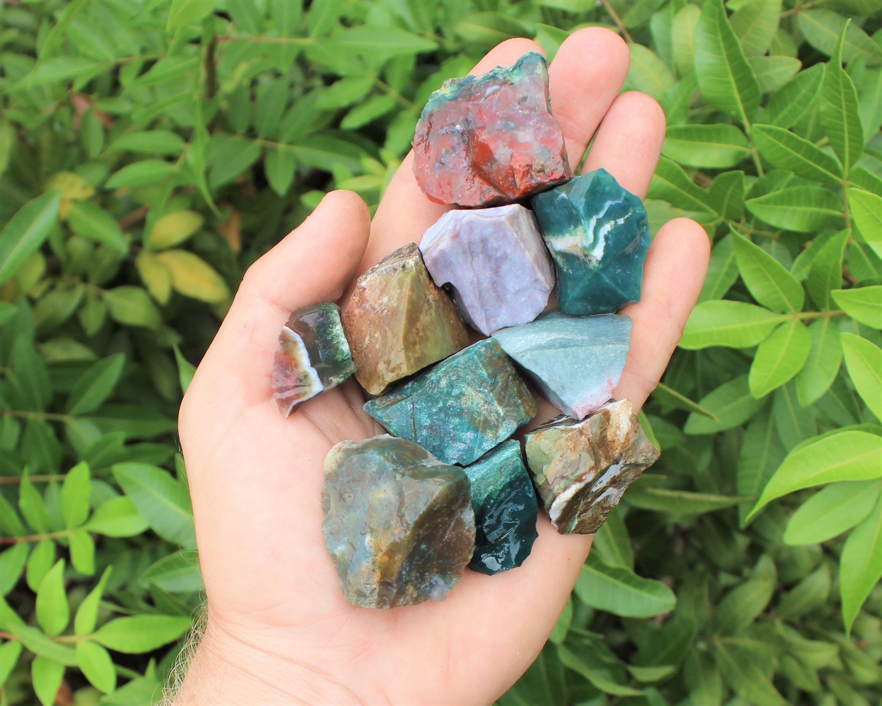 fancy jasper fancy jasper