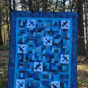 Debbie kit with Dragonfly appliqué blocks