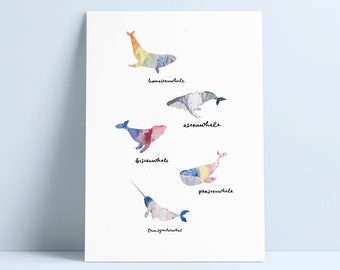 LGBT Whales A4 Print