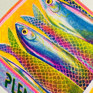 Plenty of Fish Risograph Print. Sardine Tin Artwork. image 2