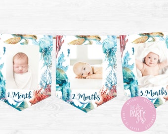 Oneder the Sea First Birthday Monthly Banner Flags Under the Sea Party Decor Digital Instant Download DIY Party Decor