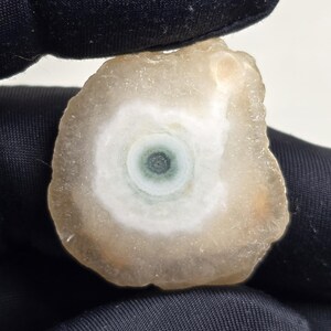 Puede incluir: Una piedra pulida, de forma ovalada, con un patrón circular central. El centro es verde oscuro, rodeado de blanco y luego un borde exterior de color marrón claro. La piedra se sostiene sobre un fondo oscuro.