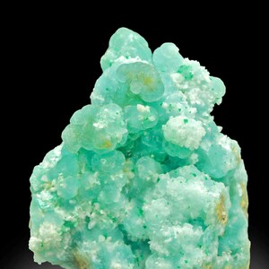 Può includere: Primo piano di un campione minerale con un gruppo di piccole formazioni arrotondate. Il minerale ha un colore turchese chiaro e vibrante con macchie bianche e una base scura. Lo sfondo è nero.