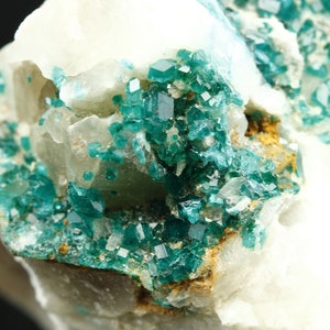 Dioptase on Quartz crystals - Kaokoveld Plateau, Namibia -
