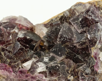 ナミビア、オコルス鉱山で発見された蛍石結晶 - コレクター標本