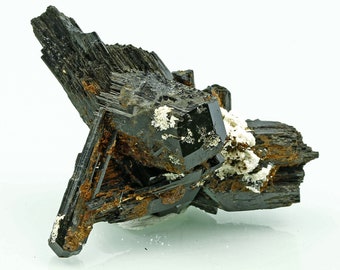 Schorl Tourmaline Crystal Specimen from Erongo Region Namibia