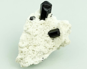 Schorl Tourmaline on Feldspar Crystal Specimen Erongo Region Namibia