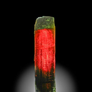 May include: A red and green tourmaline crystal with a striated surface. The crystal is translucent and has a deep red colour.
