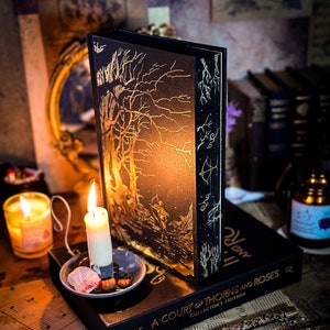 A Court of Thorns and Roses Collector&#39;s Edition HAND-PAINTED EDGES - Sprayed Book Edges - Painted Edges - Fantasy Hardback Book- Booktok