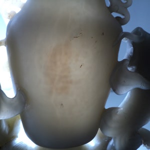 May include: A white jade sculpture of a dragon with intricate details. The dragon is curled up with its head raised and its tail curled around its body. The sculpture is made of a translucent white jade with a slight brown tint.