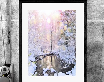Arte mural fotográfico, paisaje invernal nevado con el sol brillando a través de ramas heladas, descarga digital