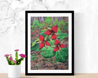 digital art download, printable image, wild flower painting of a beautiful spring woodland flower, red trillium