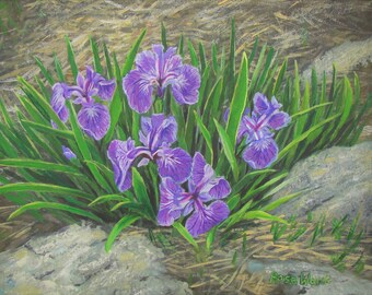 Purple iris painting, blue flag wild flower growing between rocks. Original art in acrylic.