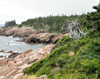digital image of a wild rocky shore on Cape Breton, Nova Scotia, Canada