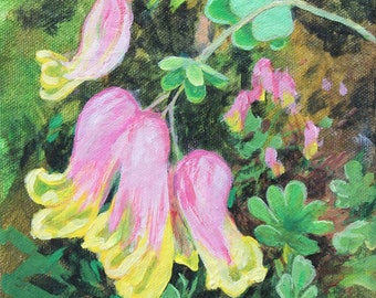 Original art, affordable art, wild flower painting, corydalis painting, small pink and yelow flower painting