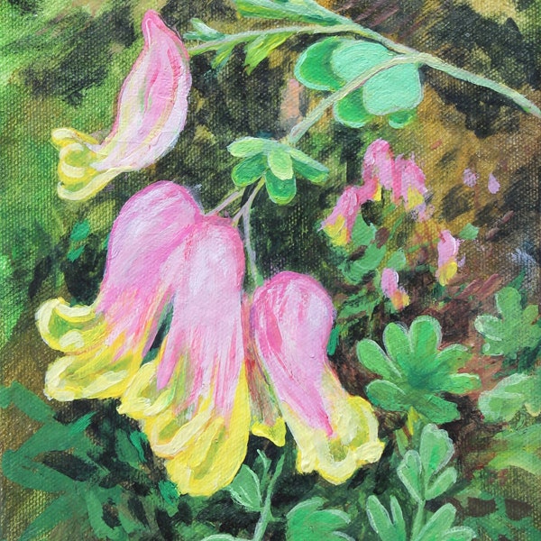 Original art, affordable art, wild flower painting, corydalis painting, small pink and yelow flower painting