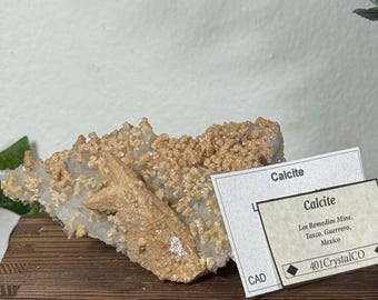 Calcite Specimen w/ Quartz Taxco Guerrero Mexico