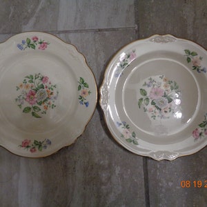 Vintage 2 Porcelain Plates Homer Laughlin Virginia Rose Springtime Pattern