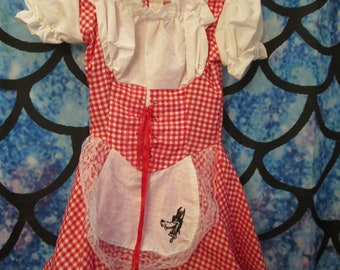 Childs Size Small/Medium Little Red Riding Hood Dress