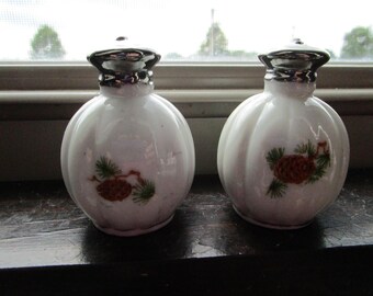 Vintage set of Porcelain Salt Pepper Shakers with Pinecones Design