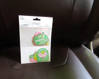 New package of Removable Pickleball Vinyl Stickers 24 stickers