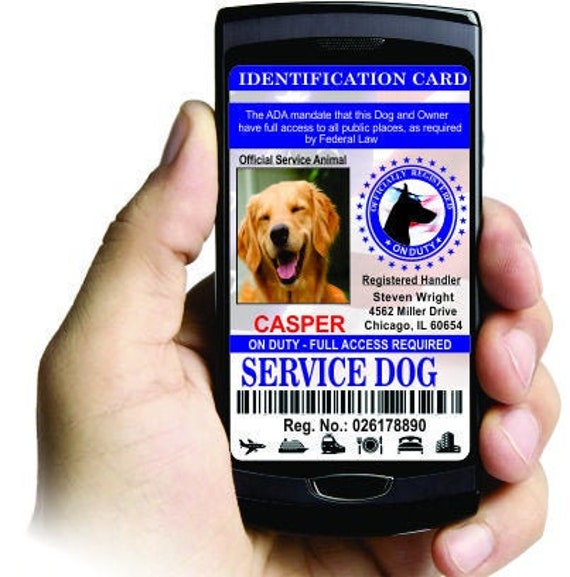 service dog id