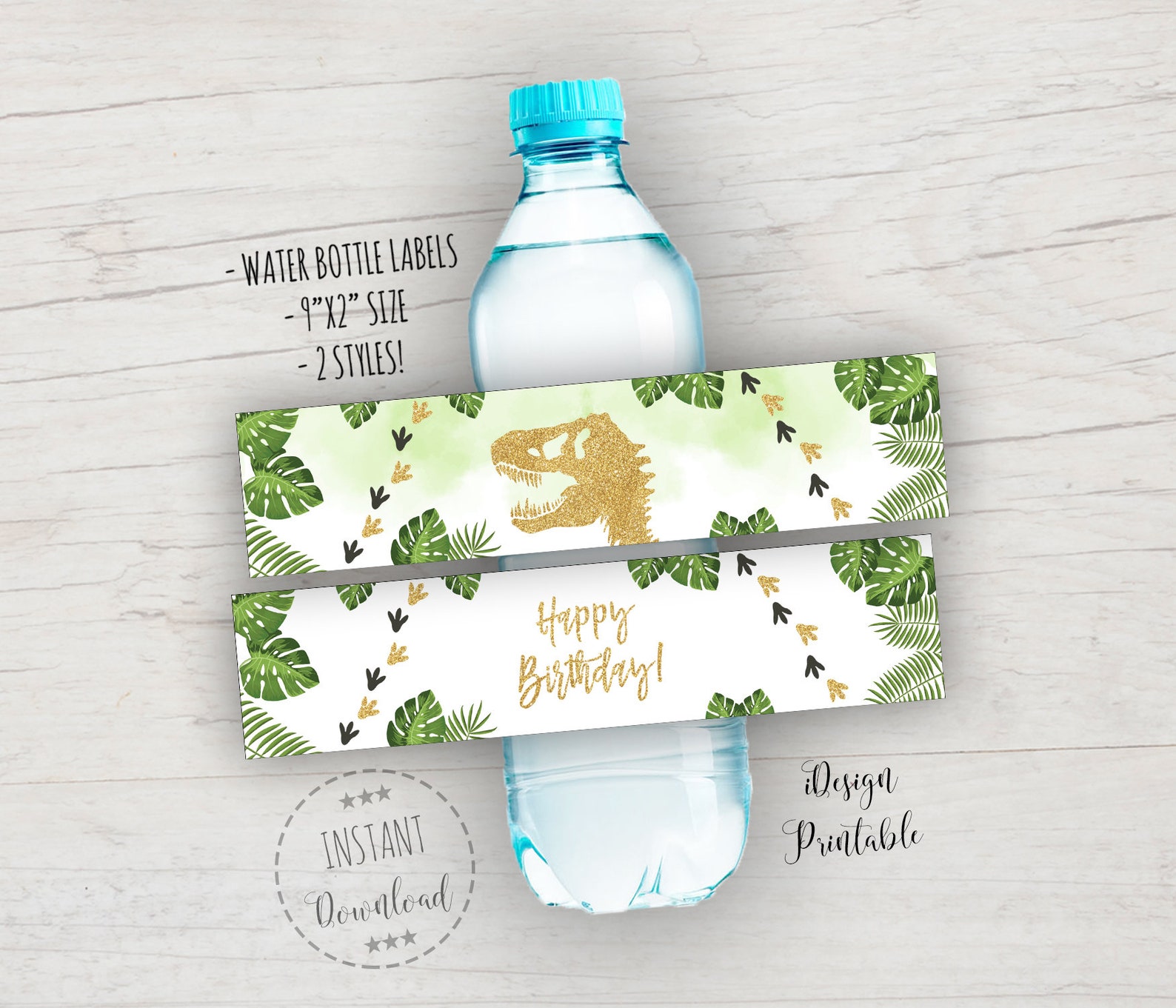 Dinosaur Water Bottle Labels Dinosaur Birthday Labels Trex Etsy