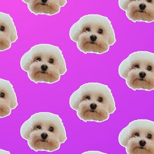 Custom Portrait iPhone Background