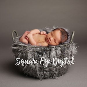 May include: A newborn baby sleeping peacefully in a gray wire basket lined with a soft gray fuzzy material. The baby is curled up with their arms and legs tucked in. The basket is sitting on a gray background. The text "Square Eye Digital" is visible in the lower right corner of the image.