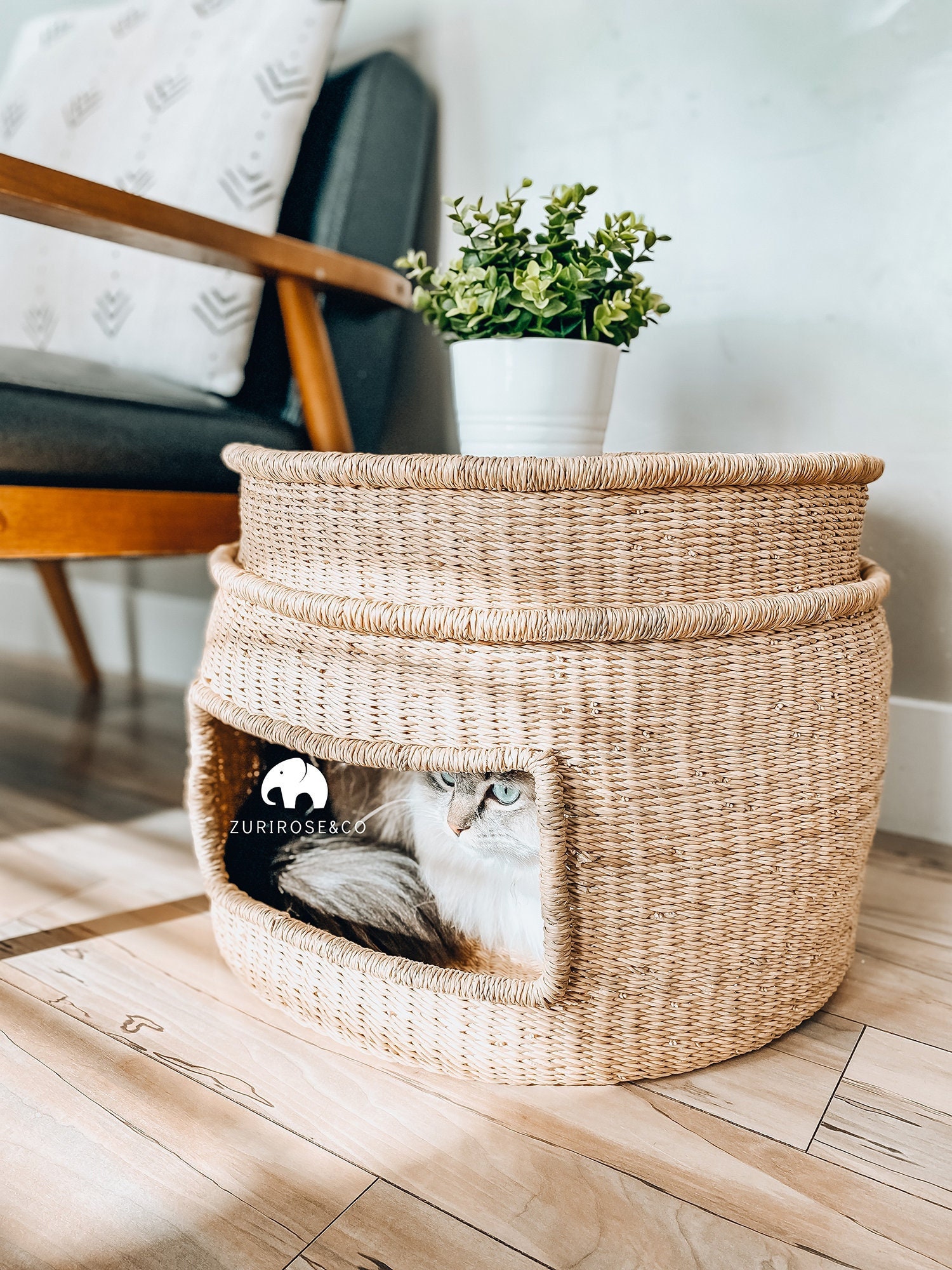 Custom Woven Cat Basket Bed Cat Basket Handmade Dog Bed Etsy