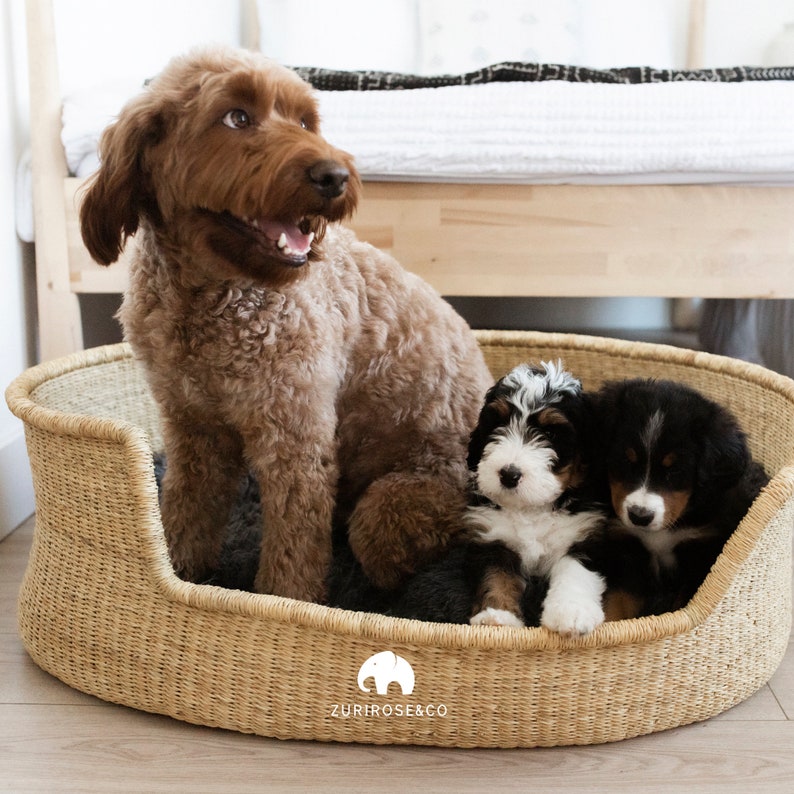 XL Woven Dog Bed Basket Dog Basket Handmade Dog Bed Etsy