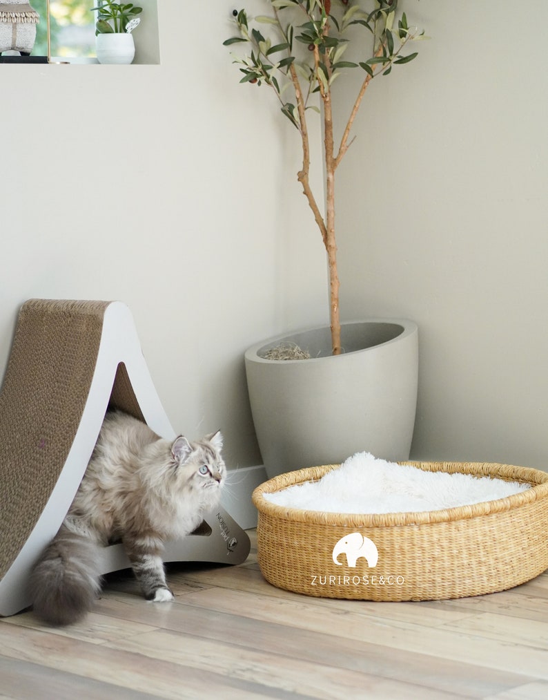 Woven Cat & Small Dog Bed Basket Cat Basket Handmade Dog Etsy