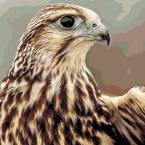 Majestic Falcon Cross Stitch Pattern:  Closeup Saker Portrait Pixel Art Image, Bird of Prey, Scenic Cross-stitch PDF Download, Pattern