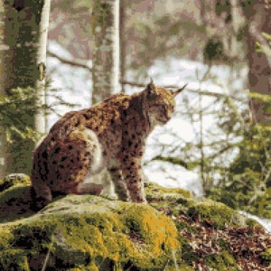 Watchful Lynx:  Nature - Big Cats Inspired Cross-stitch Pattern, Pixel Art Image, Perler Bead Work Design