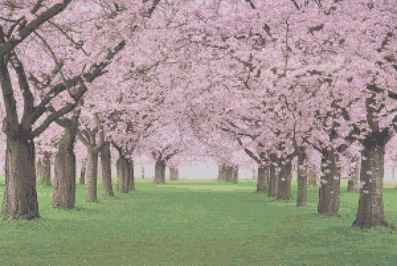 芸術写真 FLOWERS and TREES 2b2b5f0d-6f51-4b32-a782-